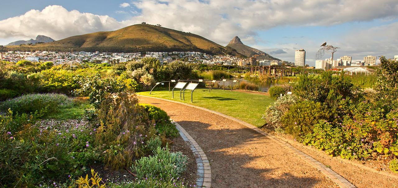 Planet Africa 1 By Ctha Apartment Cape Town Bagian luar foto